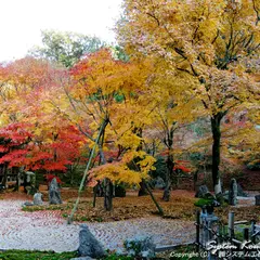 光明禅寺