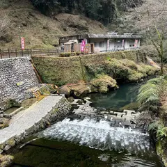 縁結びの足湯