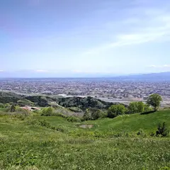 稲葉山牧場
