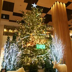 スタージュエリー 玉川高島屋
