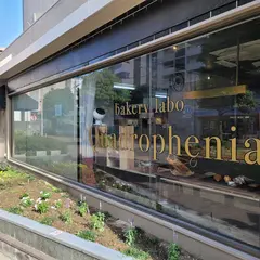 bakery labo Quadrophenia