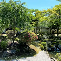 圓満院 庭園