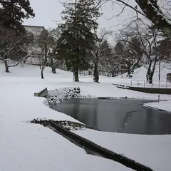 鶴ヶ岡城 本丸跡