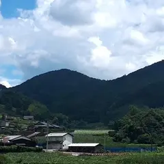 弘農園 観光農園ぶどう狩り梨狩り