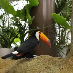 足羽山公園遊園地 ミニ動物園