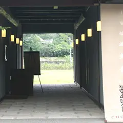 鞠智