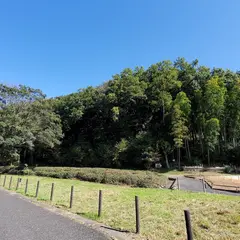 トトロの森 １５号地