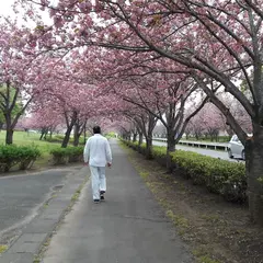 さくらの森パーク