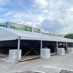 西班牙諸聖教堂考古遺址