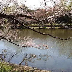 じゅんさい池緑地 児童公園
