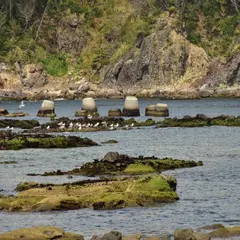 恵比須島