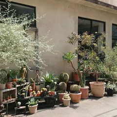 ROUTE BOOKS w/botanicals
