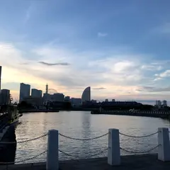 ピア象の鼻