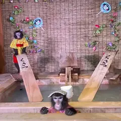 草津温泉おさるの湯もみ処～おさ湯