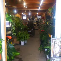 ガーデニング倶楽部 花みどり