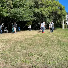 Shonan Dog Field