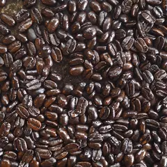 幾里人珈琲焙煎所(Kirito Coffee Roasters)
