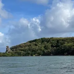 Bear Rock Ln