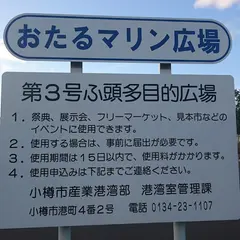 元合同庁舎前 第三ふ頭基部多目的広場