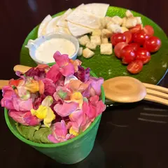 菜の音