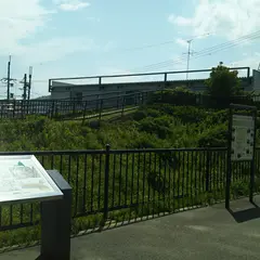 勝龍寺城土塁 空堀跡