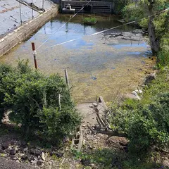 白山堂清水(六郷湧水群)