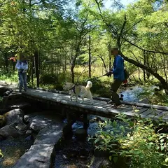 竜神池遊歩木道