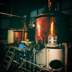 同)BEAR MEET BEER 秩父麦酒醸造所