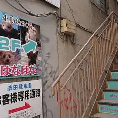 小動物カフェ はなはな