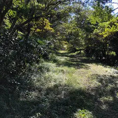 池子の森自然公園