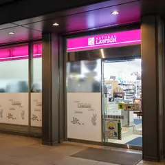 ナチュラルローソン 日比谷国際ビル店