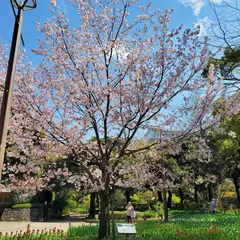 日本大通ビル