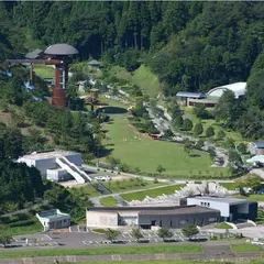 きのこの森