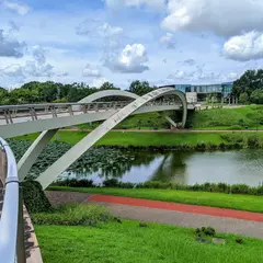 森岡
