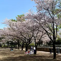 府中公園