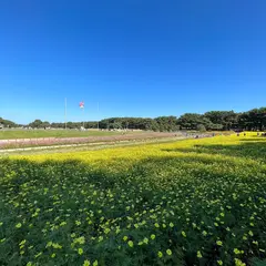 大草原フラワーガーデン