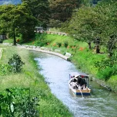 近江八幡水郷めぐり