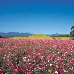 西都原古墳群