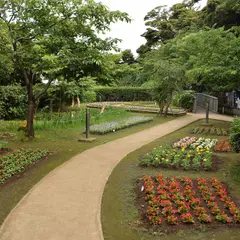 江の島中津宮広場(花の名所)