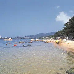 丹生白浜海水浴場