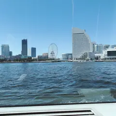 Sea Bass Pier