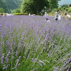 裾花緑地