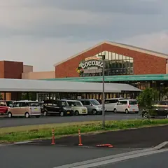 ココモ 春日店