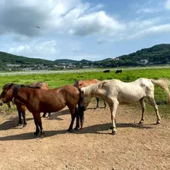 諫早市森山唐比ふれあい牧場