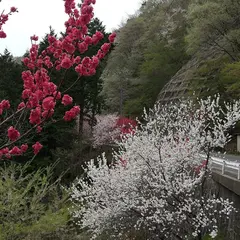 清内路村一番清水