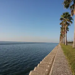 金田東
