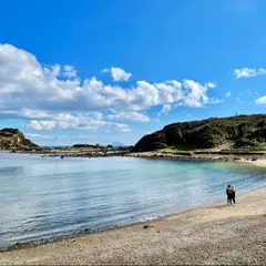 爪木島