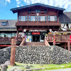 北八ヶ岳ロープウェイ