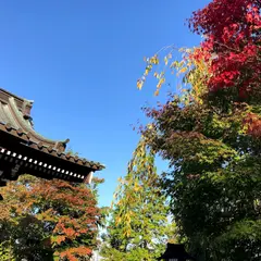 旅の宿 斉川