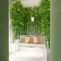 雲ノ茶KUMONOCHA嵐山店